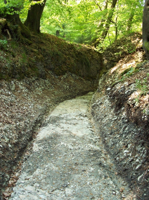 Blick in den freigelegten Weg vom Pass aus (April 2008)