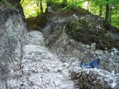 Blick von unten in den Weg (April 2008)