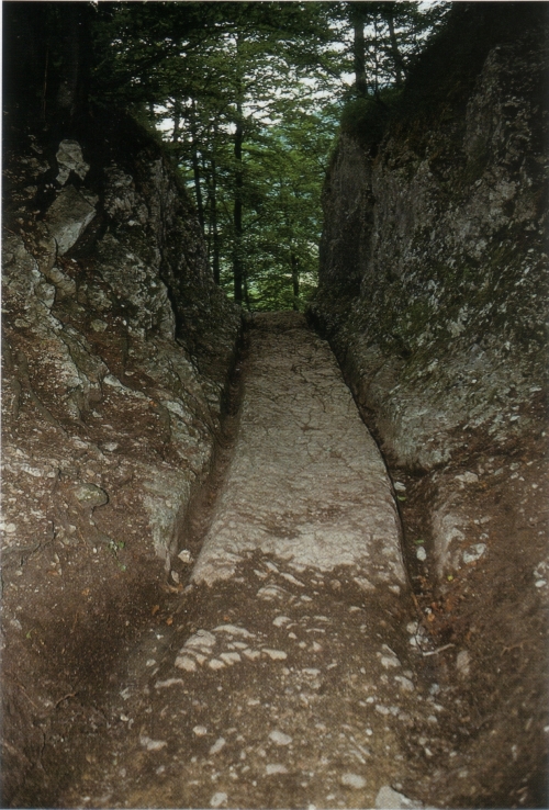 Geleisestraße des Oberen Hauenstein im Schweizer Baselland